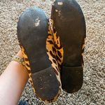 Fossil  calf skin ballet flats Photo 2