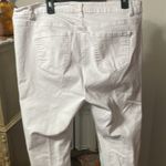 Wax Jean 🌹🌹🌹BOGOHO 🌹🌹🌹White Distressed Jeans Photo 6