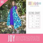 LuLaRoe  Joy Photo 2