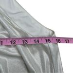 Halston Heritage  Champagne Shimmer Cocktail Dress Size M Photo 4