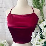 Boutique Backless Red Silk Crop Top Photo 0
