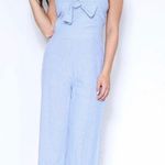 Pinstripe Jumpsuit Size L Photo 0