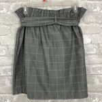 potter's pot  Grey Button Down Skirt Photo 2