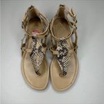 Isola  Tan and Snakeskin Sandals 7.5 Photo 1