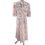 Julia Amory India Amory Ruffle Shirt Dress in Clambake Shell Pink M Tuckernuck Size M Photo 2