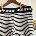 The Limited ⭐️ | Blue & White Striped Dressy Shorts Photo 2