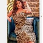 NWT Lafayette 148 Olive Green Ribbon Overlay Strapless Dress & Jacket Size 8/10 Photo 1