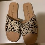 Chinese Laundry  flats Photo 2