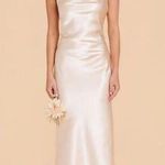 Birdy Grey Lisa Midi Dress Shiny Satin Champagne Size Large Lightly Flawed Photo 0