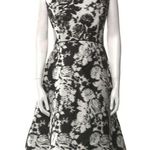 Oscar de la Renta NWOT  dress size 8 Photo 3