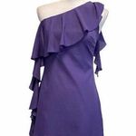 Rory Beca  Forever21 Plum one Shoulder Dress Photo 0