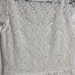 ZARA White Floral Lace Crochet Dress Short Sleeve Cap Sleeve Mini LWD Size Small Photo 3