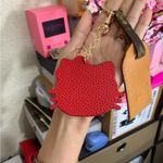 luggage tag & Hello Kitty 2 Photo 4