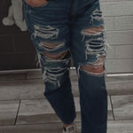American Eagle  Jeans Strigid Distressed Mom Photo 0