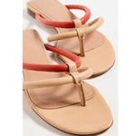 Mansur Gavriel Filo Flip Flops Sandals Sand/Papaya Womens Size 36 Orange Photo 0