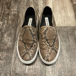 Steve Madden Brown Snake Print Women’s Slip-On Shoes Size 9 Photo 7