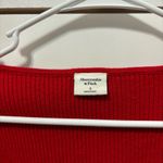 Abercrombie & Fitch  Long Sleeve Corset Knit Mini Sweater Dress Photo 4