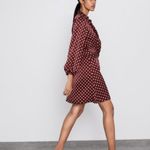 ZARA NWOT POLKA DOT SILKY / SATIN MINI DRESS BLOGGERS FAV Photo 3
