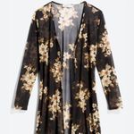 Alice Blue  LPP Devonia Rebuy Photo 0