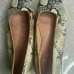 Madewell  The Cory Snake Embossed Leather Flats Photo 0