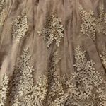 Lace Lyrical Costume Photo 1