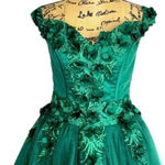 Sparkly Hunter Green Prom/ Quinceañera Dress Size 8 Photo 1