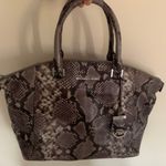 Michael Kors Snake Skin Handbag Photo 0