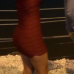 Windsor Red Bodycon Dress Photo 3