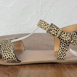 J.Crew Womens Sandals 7 Tan Black Animal Leopard Print Calf Hair Strappy Flats Photo 1