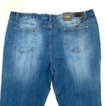 L&B Lucky & Blessed NWT Womans Blue Distressed High Rise Jean Size 22 Photo 10