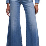 Madewell NWD Flared Wide Leg Jeans Size 27 Petite Oneida Wash Photo 0