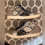 Circus by Sam Edelman Blue and Silver Snake Print Sneakers 6 metallic skin Photo 4