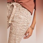 Anthropologie NWT The Wanderer Belted Straight Leg Utility Pants Size 29 Photo 9