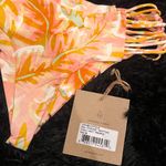 Stone Fox Swim  Bottom Photo 4