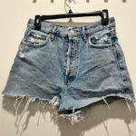AGOLDE Denim Shorts Photo 0