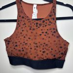 Stori by Katy Hearn Brown Spotted Sports Bra Size 8 Photo 0