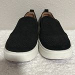 Vionic Womens Size 7 Kimmie Suede Slip On Casual Fashion Sneakers Photo 1
