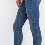 Madewell NEW  Maternity‎ Side-Panel Skinny Jeans in Wendover Wash, 29 Photo 0