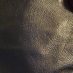 Banana Republic Gorgeous  Metallic gold Women's Crossbody Bag Photo 3