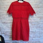 Lulu's short sleeve lace overlay dress XL mock neck eyelash lace back zipper RED Photo 7