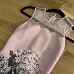 Ted Baker Arionah Palace Gardens Scallop Detail Midi Dress Photo 4