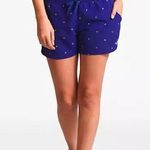 The North Face Women's Class V Mini Shorts Blue Casual Size L Photo 0