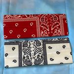 Red and White Paisley Bandana Duo Photo 2