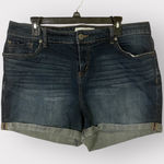 Torrid Plus Size 18 Classic Fit Blue Denim Shorts Photo 0
