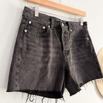 Madewell  | NWT | The Brynn Long Short in Levin Wash | Sz 24 Photo 0