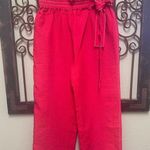 Moon River red high rise elastic ruffle waist front overlay pull on pants Photo 3