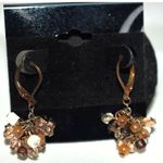 Source Unknown NWOT Lovely Shades Of Fall Brass Tone French Clip Beaded Cluster Drop Earrings Photo 0