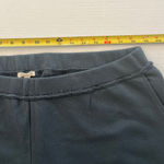 Eileen Fisher  Sz XL Organic Cotton Terry‎ Crop Sweat Pants In Eucalyptus Pull On Photo 8