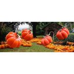 Pumpkin Earrings Thanksgiving Fall Festive Harvest New Handmade Dangle Hooks Orange Photo 5