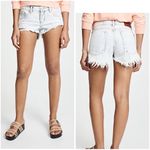 One Teaspoon Low Waist Bonita Shorts, 28” Photo 10